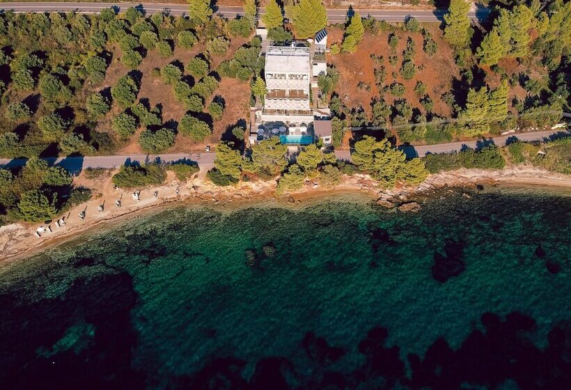 Pensjonat Casa Bloo Adults Only