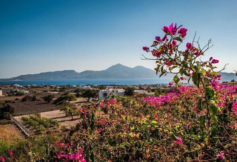 펜션 Faros Apartments