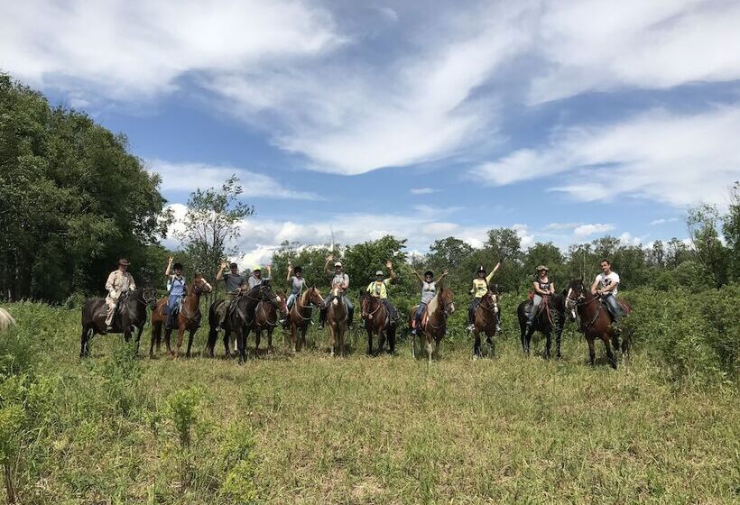 بنسيون Mestechko