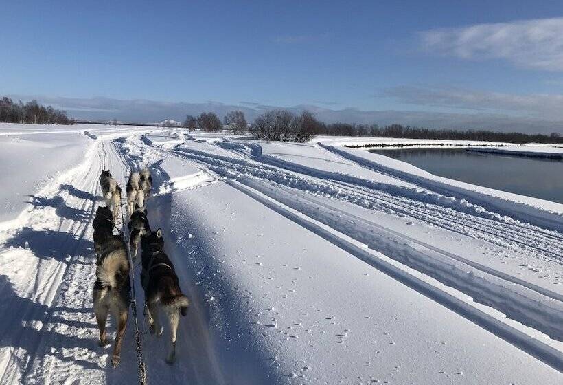 بنسيون Mestechko