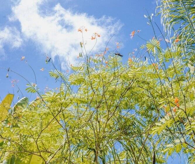 فندق Playa Cielo Beach Front