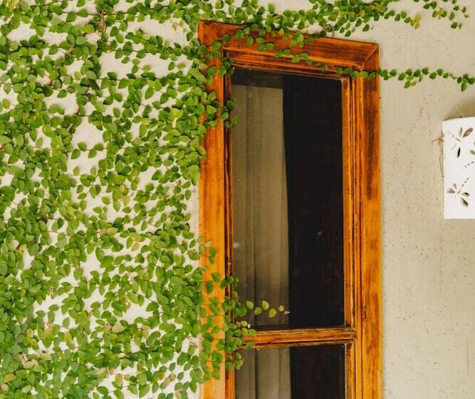 فندق Playa Cielo Beach Front