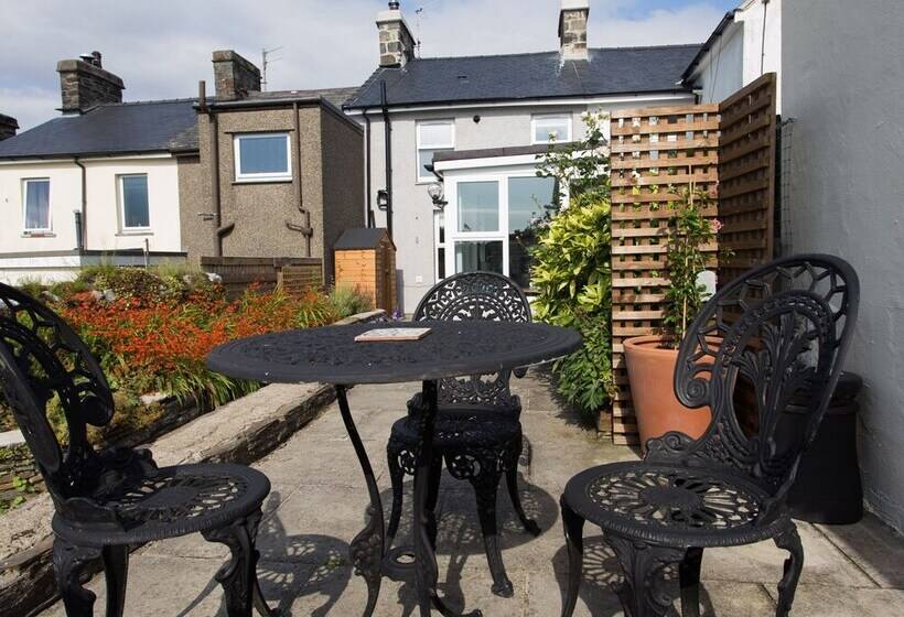 Moelwyn View Cottage