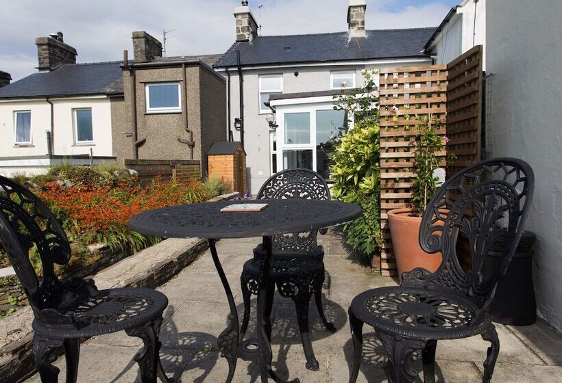 Moelwyn View Cottage