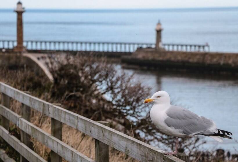 Olton Hall @ Engine Shed