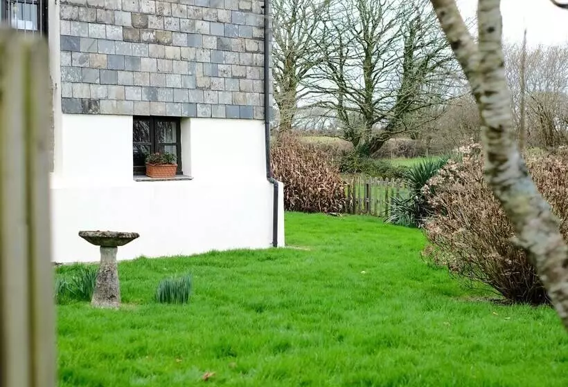 The Mill