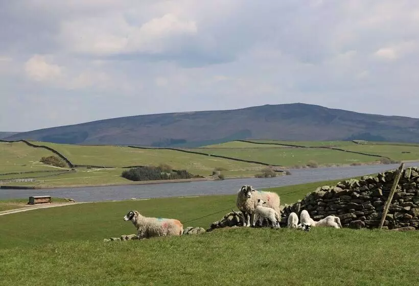 The Old Shippon Mews