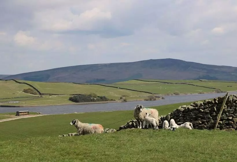 The Old Shippon Mews