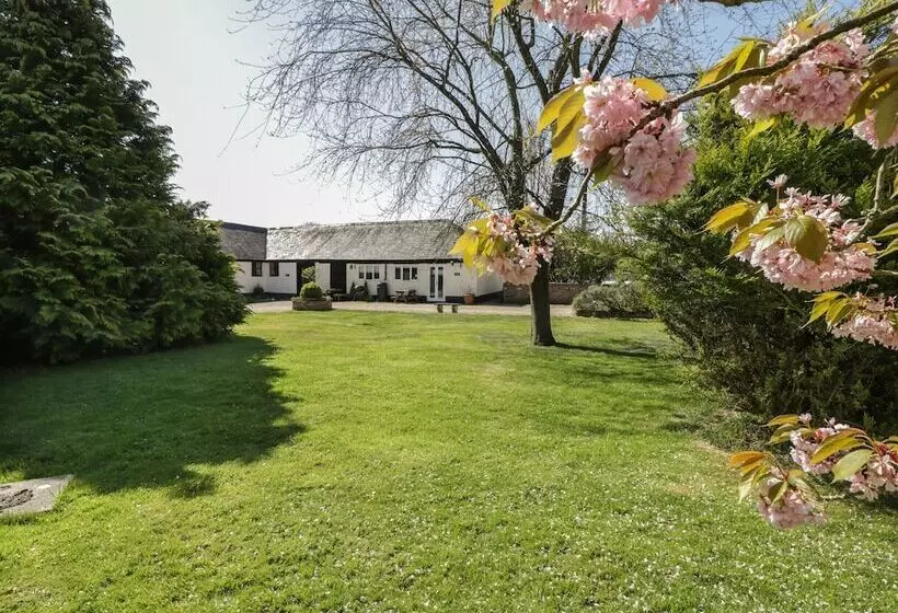 Orchard Cottage