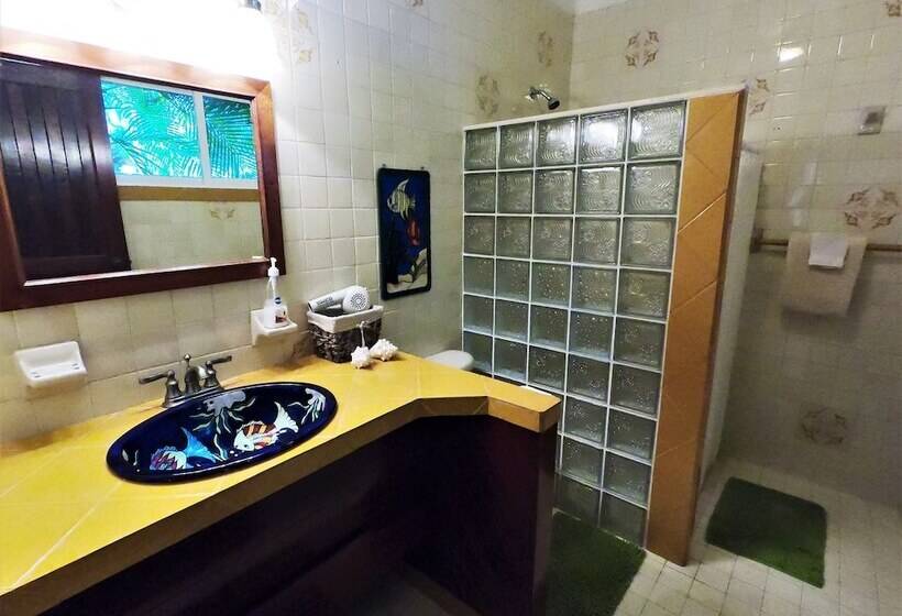 مبيت وإفطار Baldwin S Guest House Cozumel