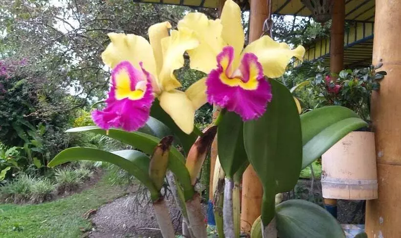 Finca Hotel El Barranco