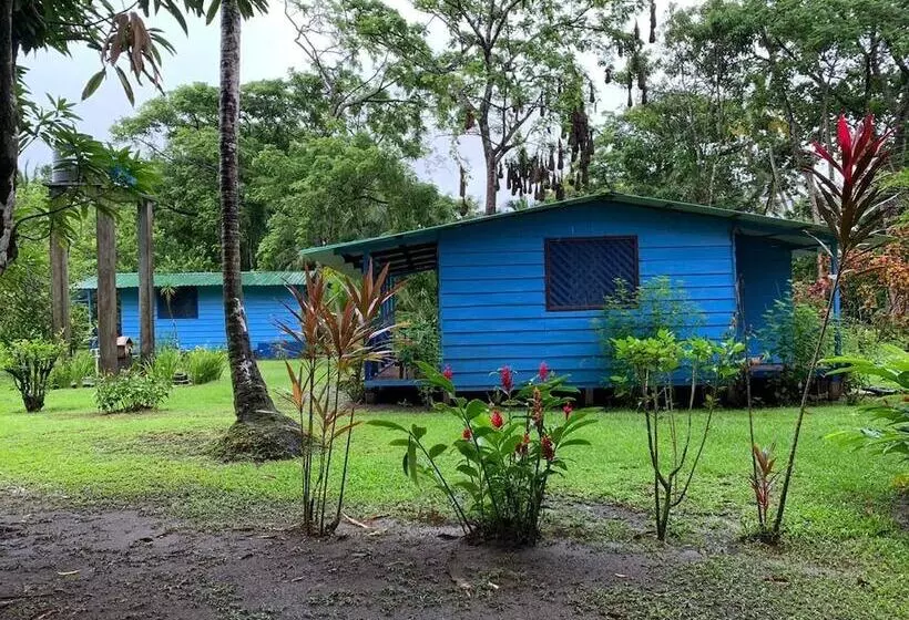 Hotelli All Rankins Eco Lodge