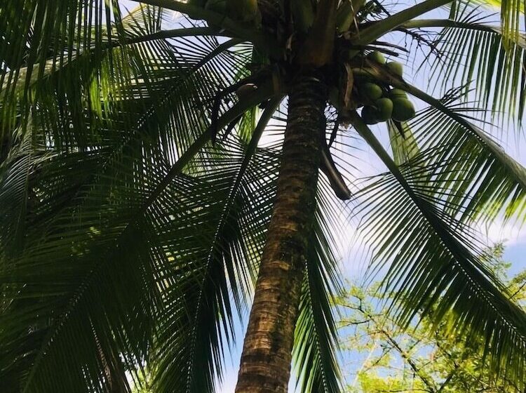 هتل All Rankins Eco Lodge