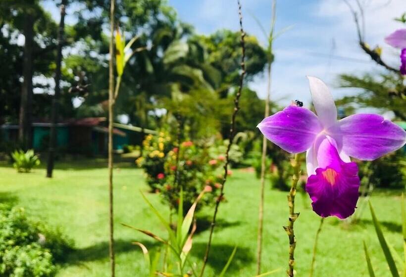 هتل All Rankins Eco Lodge