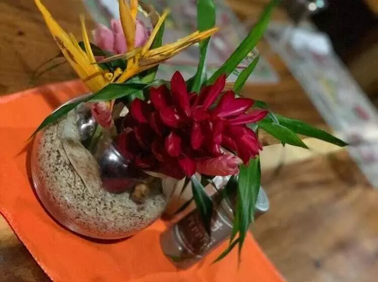 Hotelli All Rankins Eco Lodge