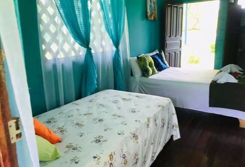 Hotelli All Rankins Eco Lodge