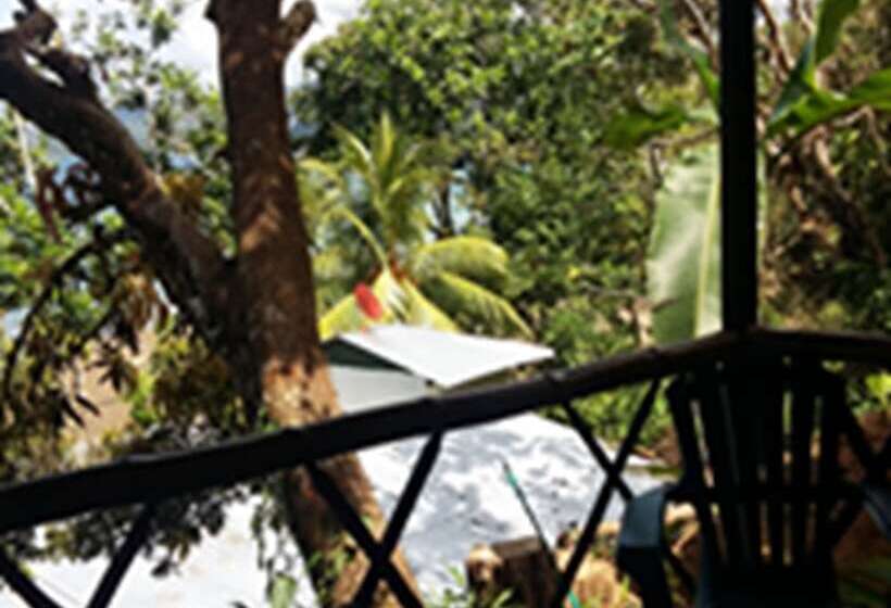 酒店 Cabinas Indígenas De Drake