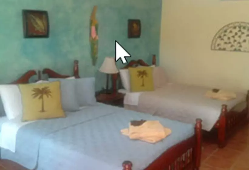 ホテル Cabinas Indígenas De Drake