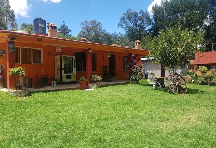 فندق Estrella De Huasca