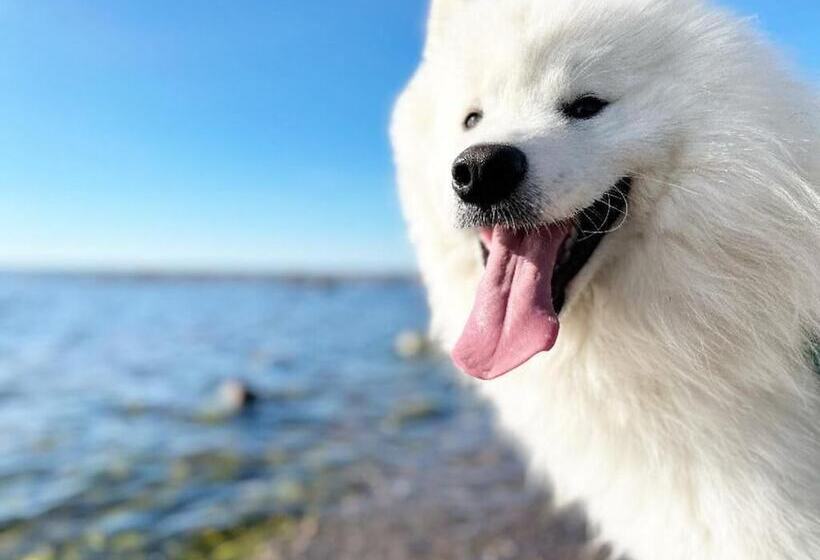 Hotel Fröjel Resort & Spa