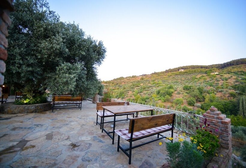 هتل Heaven's Gate