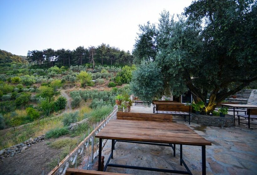 هتل Heaven's Gate