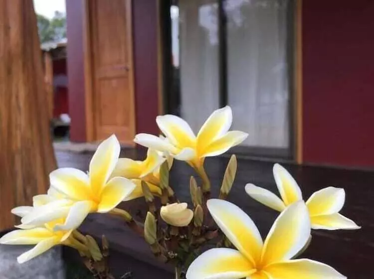 ホテル Marari Rapa Nui