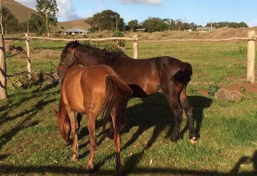 ホテル Marari Rapa Nui