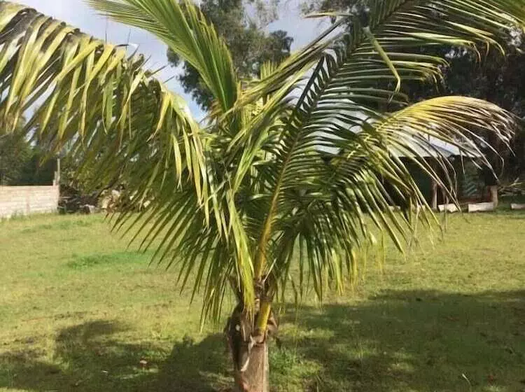 ホテル Marari Rapa Nui