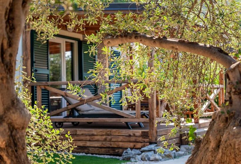 호텔 Olivia Green Camping