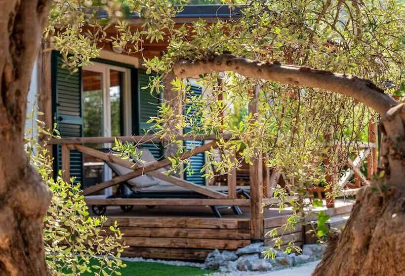 Hotelli Olivia Green Camping