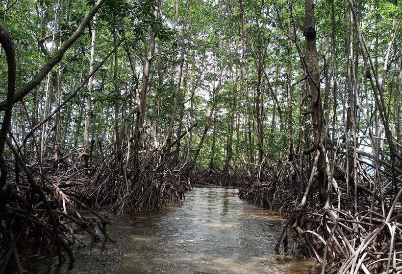 酒店 Osa Tucan Drake