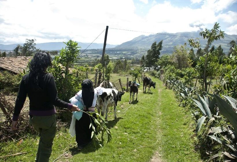 فندق Runa Tupari Homestay Lodge