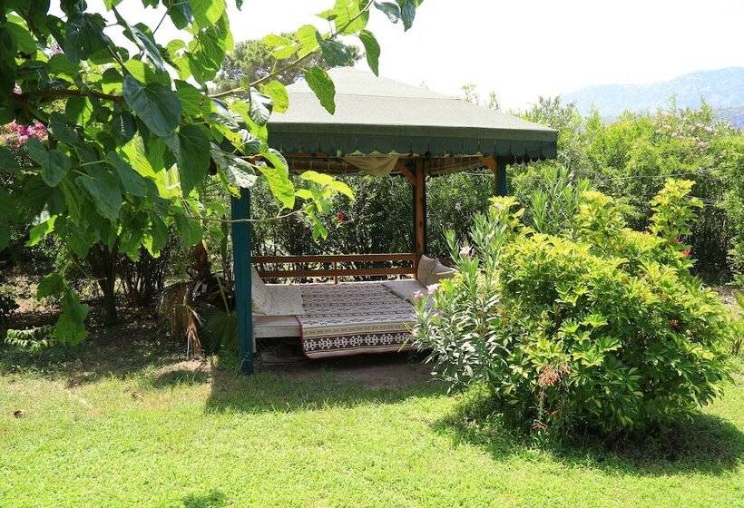 هتل Tunay S Pansiyon