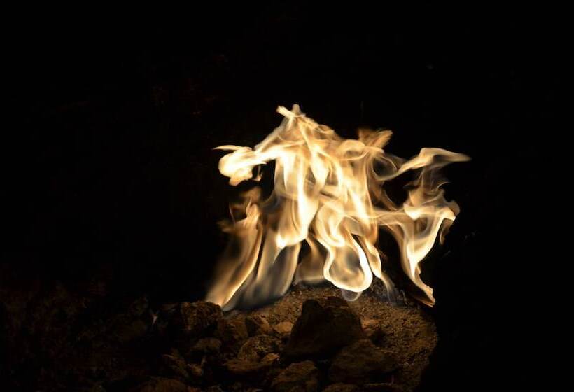 هتل Tunay S Pansiyon