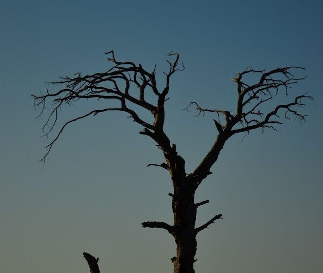 هتل Tunay S Pansiyon