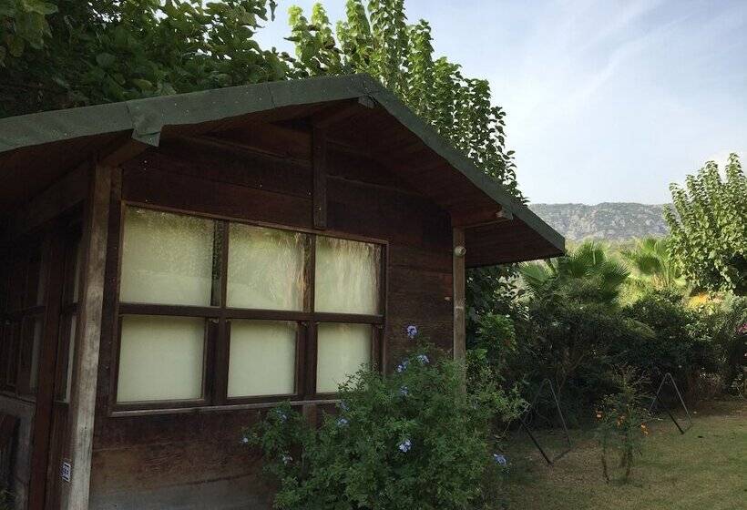 هتل Tunay S Pansiyon