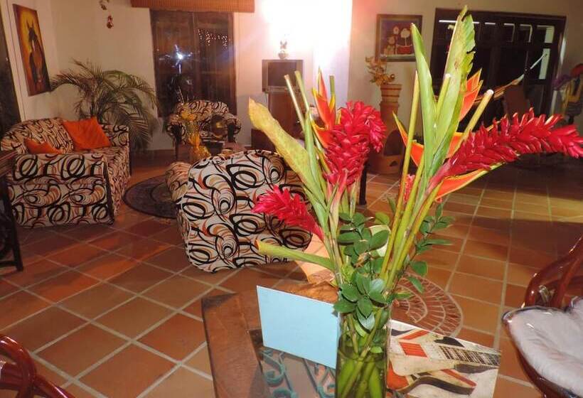 هاستل Oak Tree House