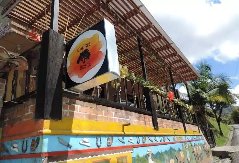 ユースホステル Oak Tree House