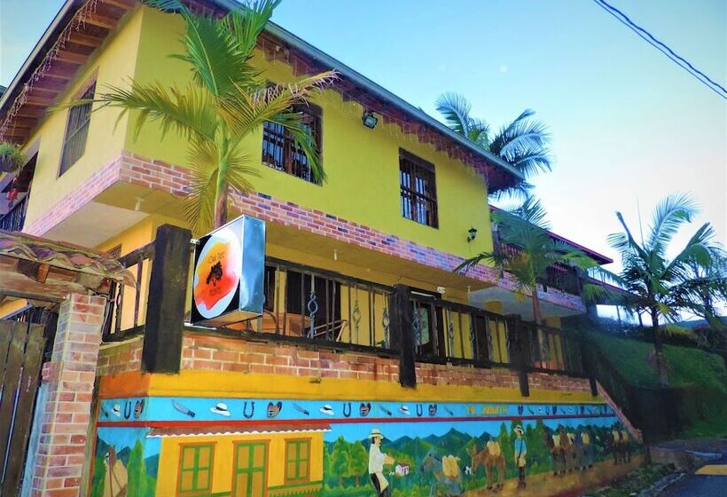 هاستل Oak Tree House