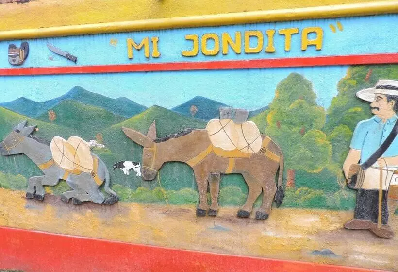 ユースホステル Oak Tree House