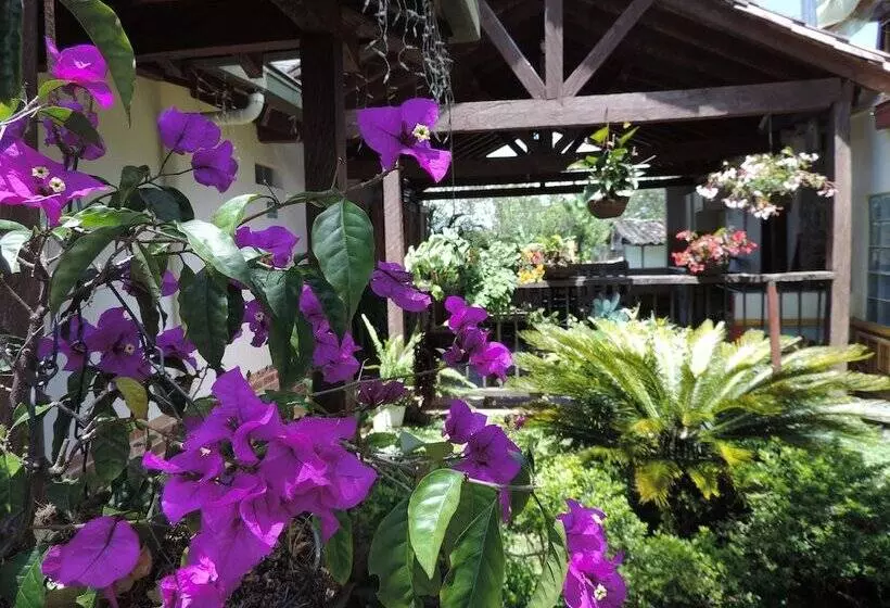 ユースホステル Oak Tree House