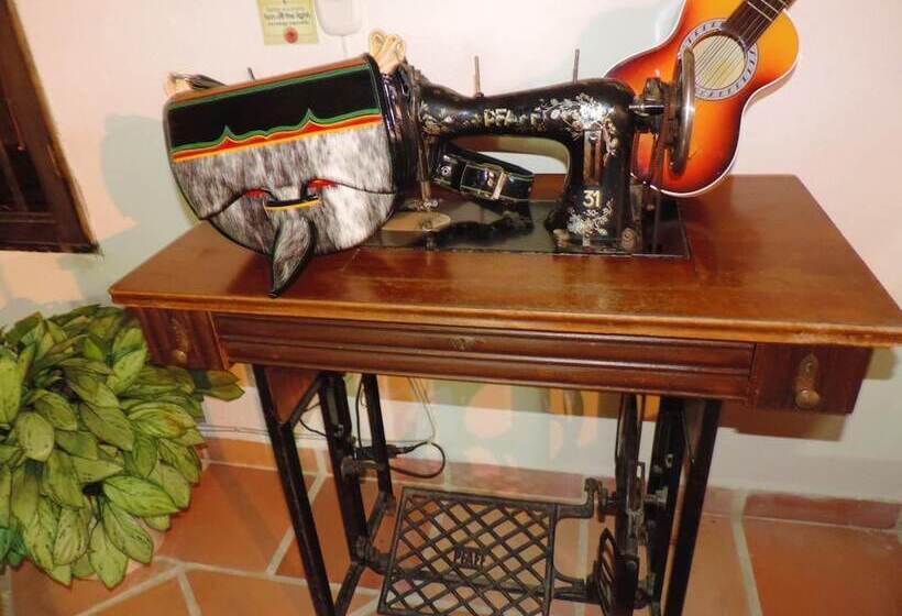 هاستل Oak Tree House