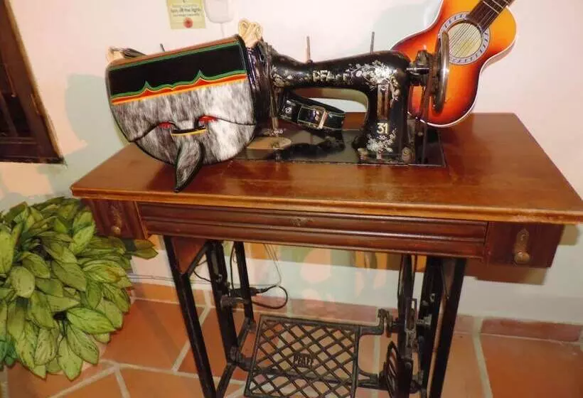 ユースホステル Oak Tree House