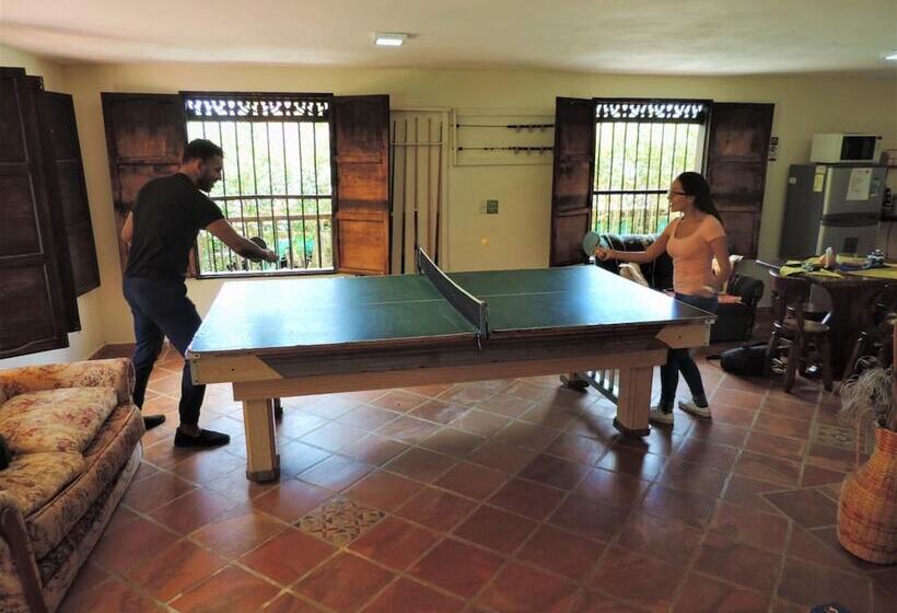 هاستل Oak Tree House