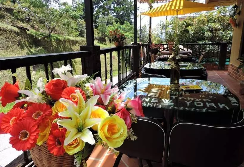 ユースホステル Oak Tree House