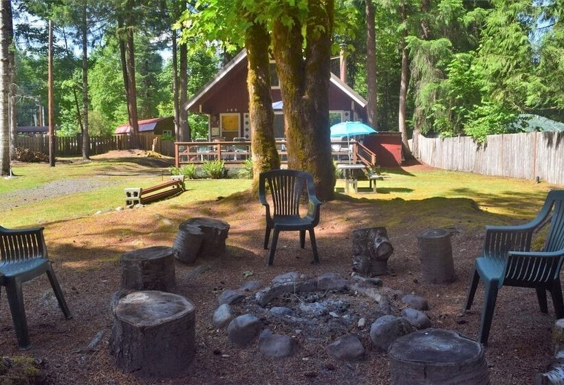 Papa`s Packwood Cabin