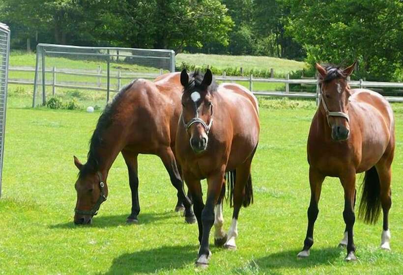 Пансион Ponyhof Naeve Am Wittensee