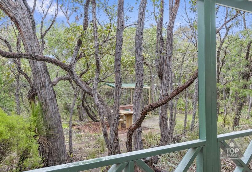 Курорт Gracetown Caravan Park