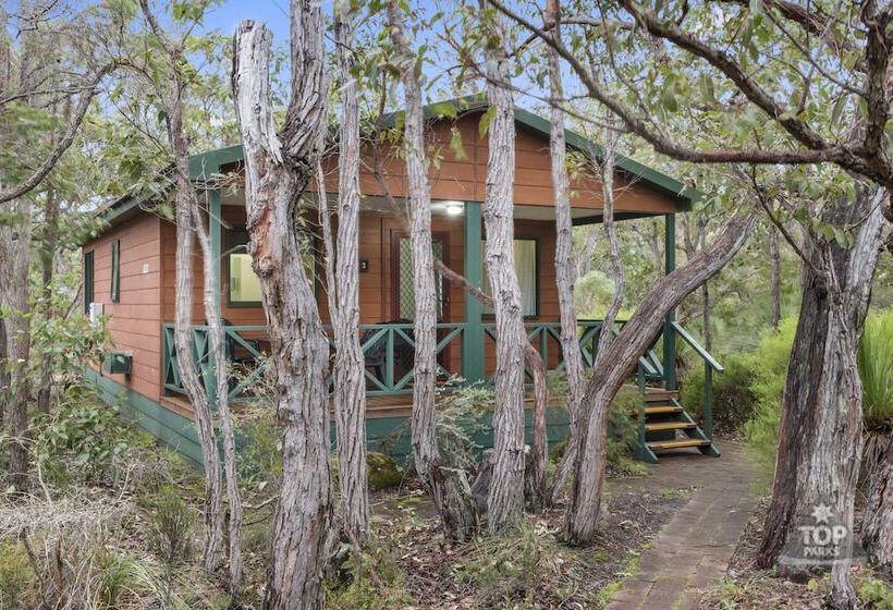 Курорт Gracetown Caravan Park